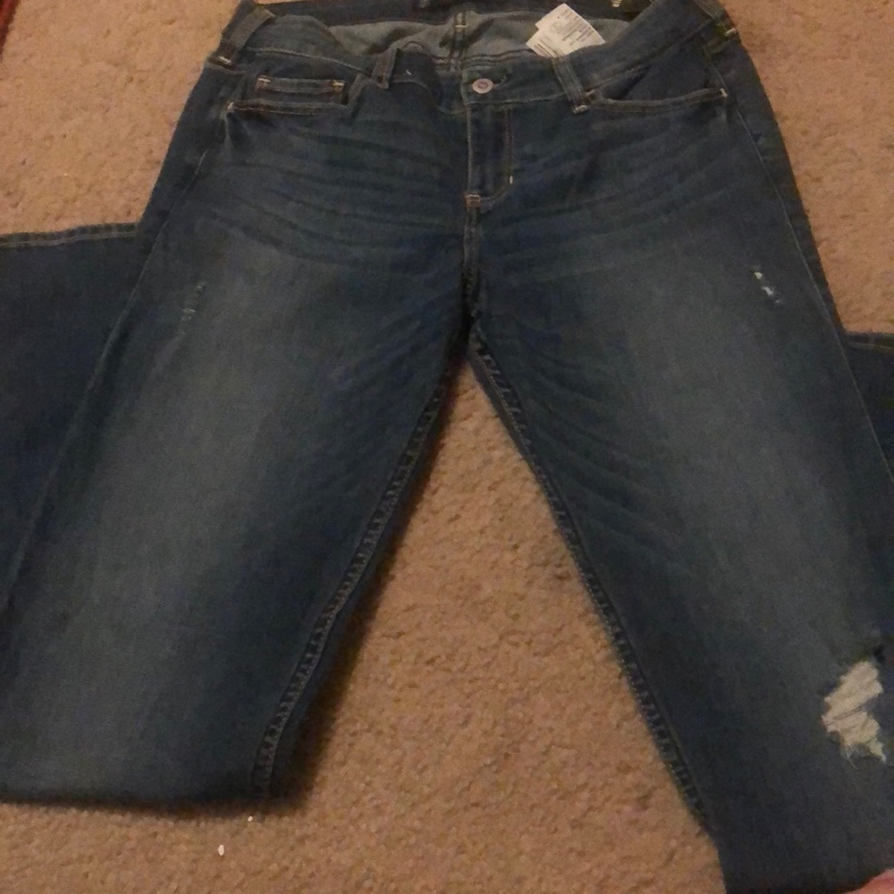 Hollister